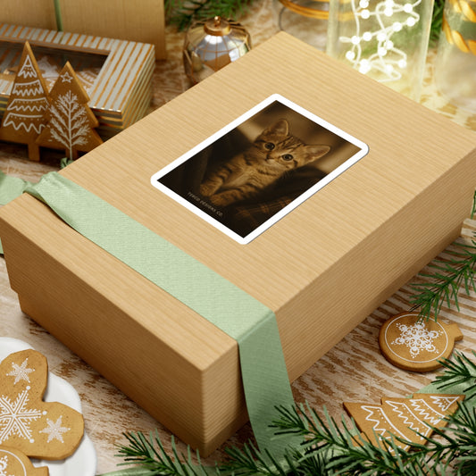 Curious Whiskers Sticker