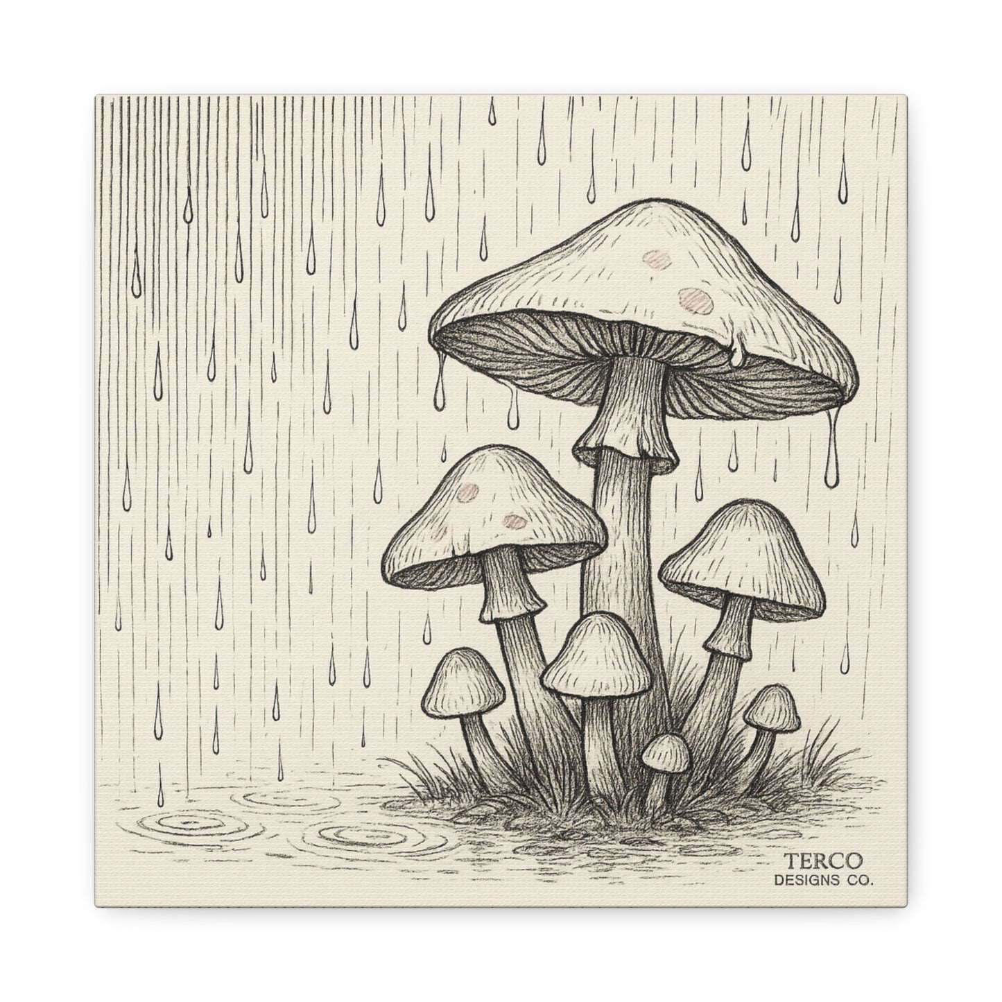 Rainshrooms Canvas Print