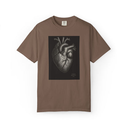 Anatomical Truth