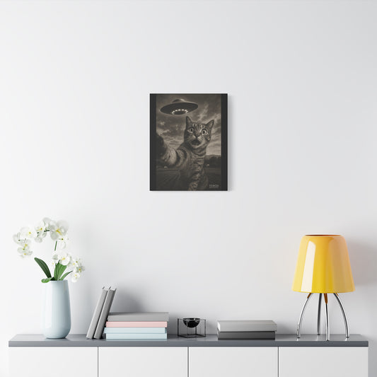 Cosmic Curiosity Canvas Print