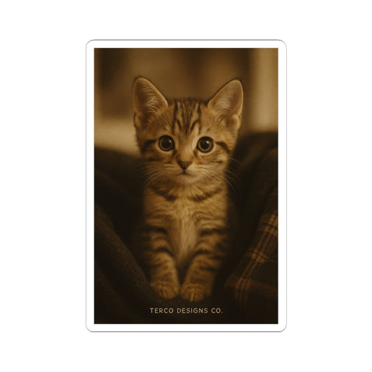 Curious Whiskers Sticker