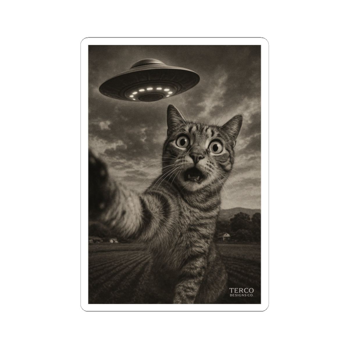 Cosmic Curiosity Sticker